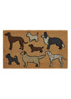 PVC Backed Coir Doormat - Dog Park