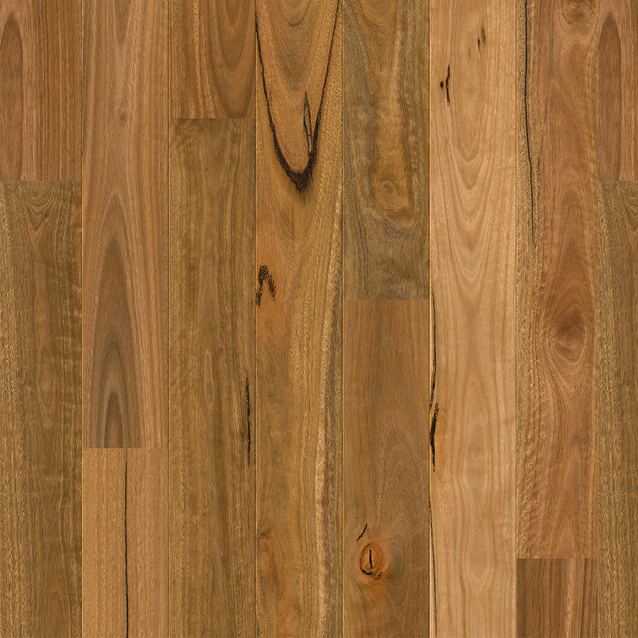 QS Timber - Amato - Spotted Gum