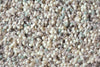 Young 061804 Rug | Brink & Campman Designer Rugs Belrose | Rugs 'N' Timber