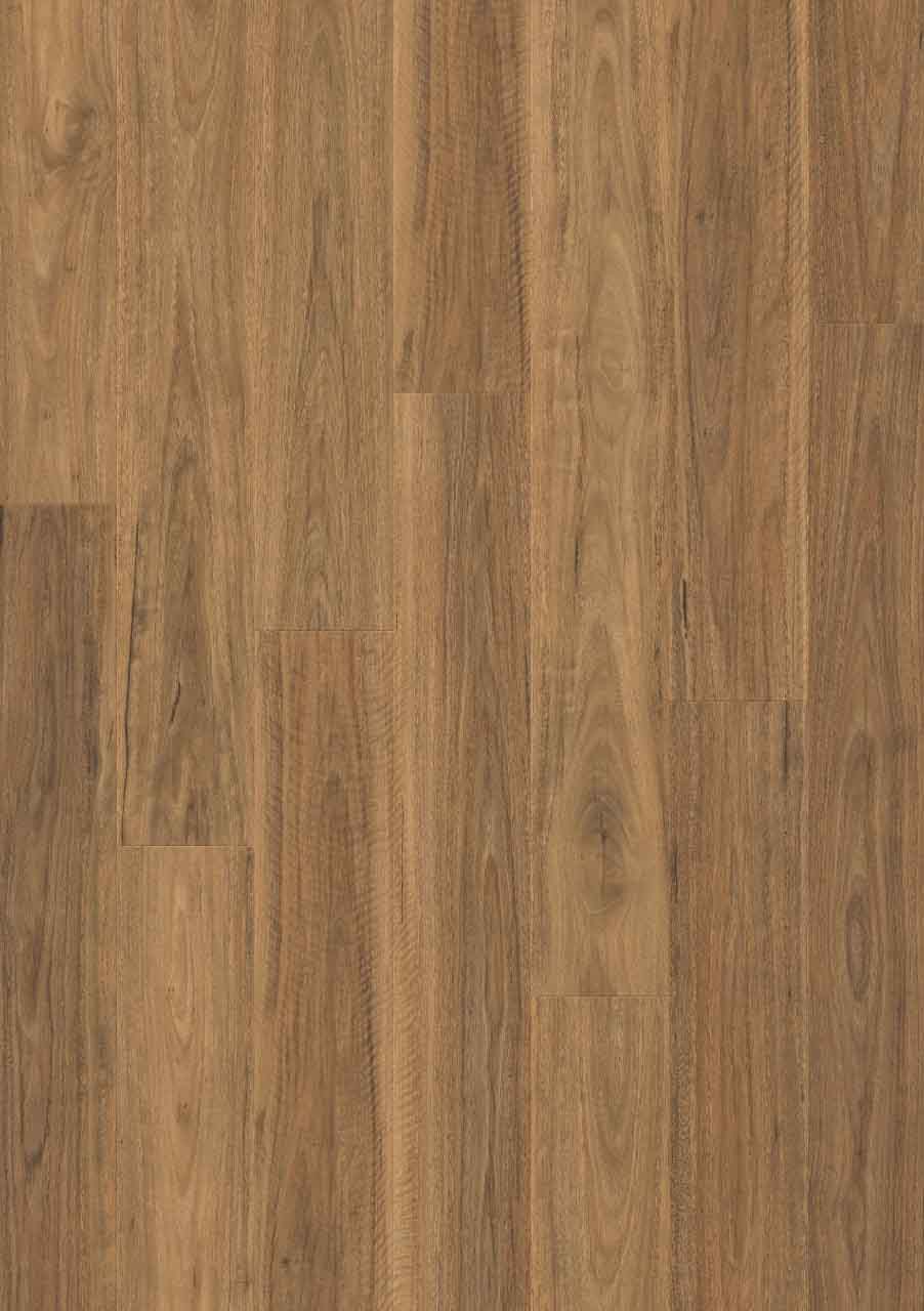 QS Laminate - Impressive Ultra - Spotted Gum