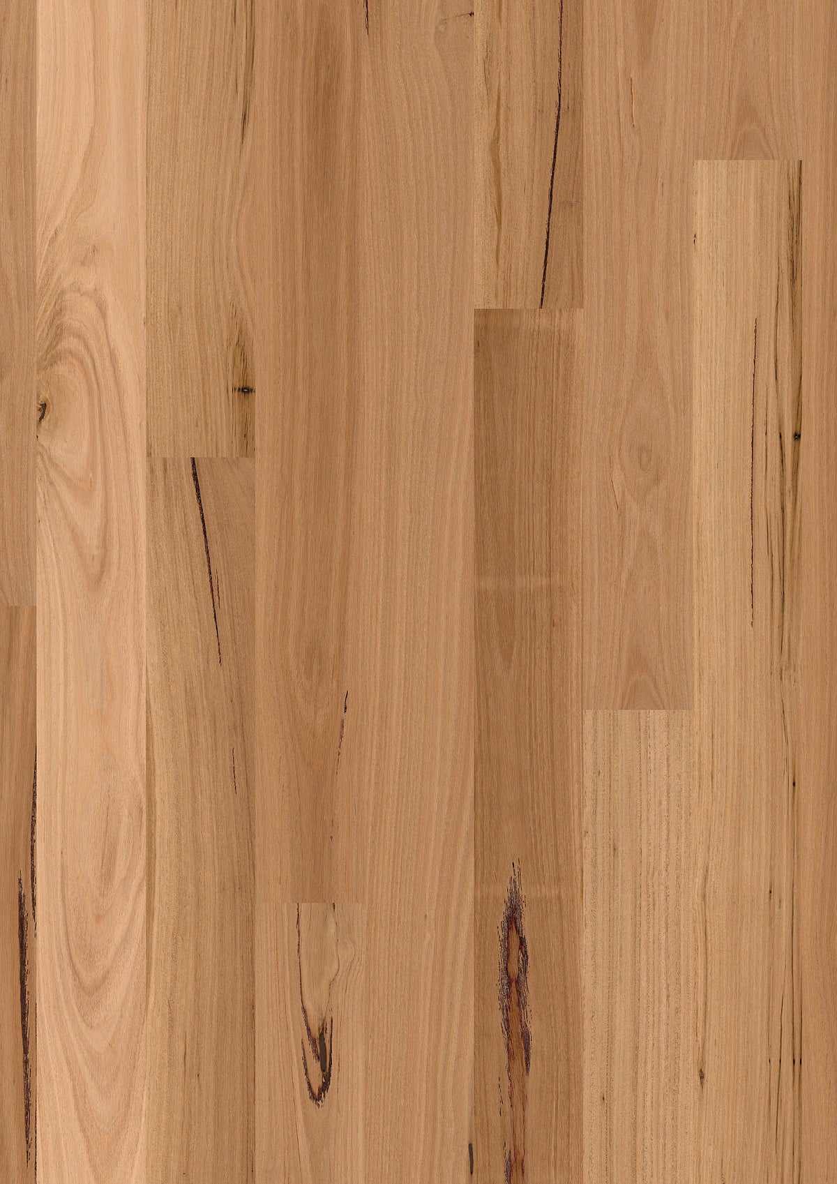 Blackbutt Gloss 1 Strip | Sidura Australian Timber Flooring Belrose Sydney