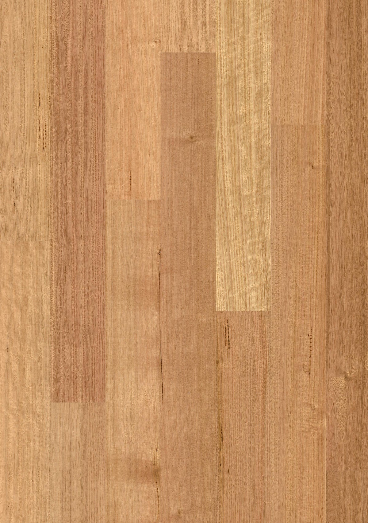 Tasmanian Oak Matt 1 Strip | Sidura Australian Timber Flooring Belrose Sydney