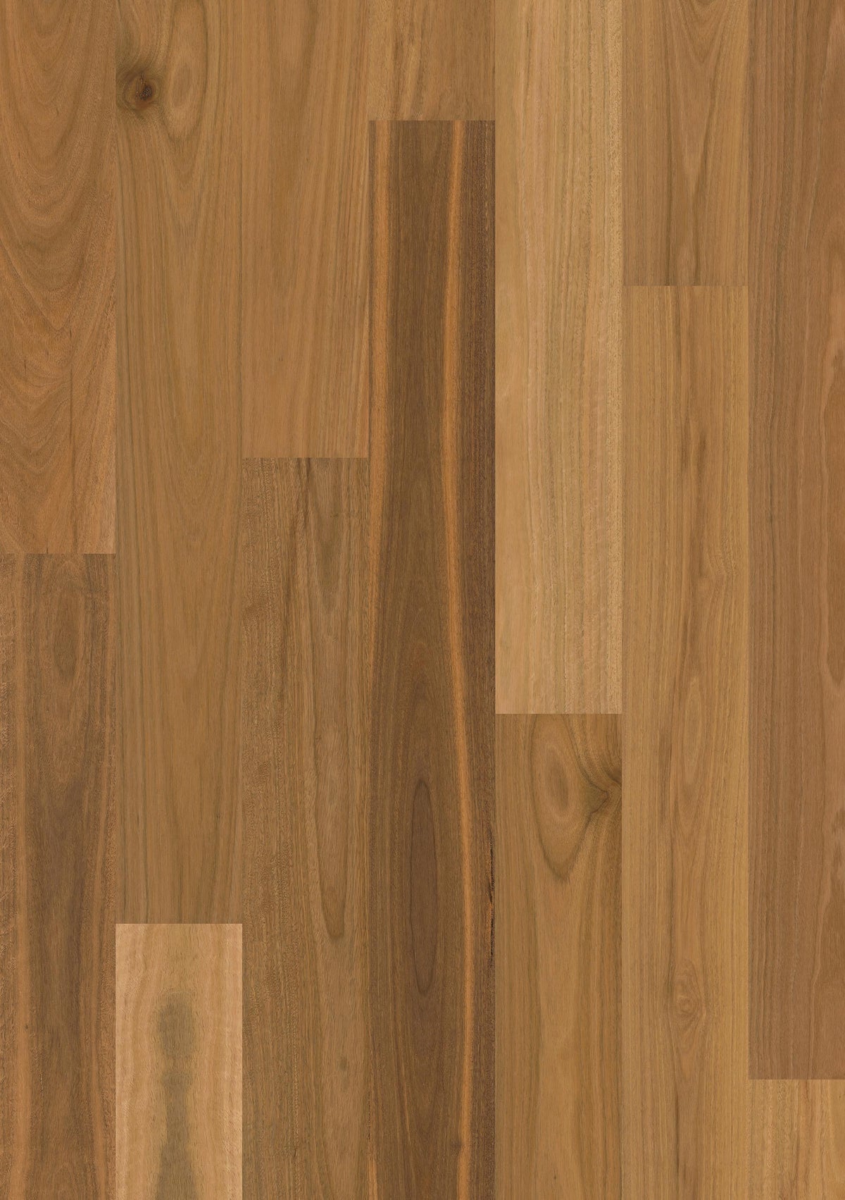 Spotted Gum Matt 1 Strip | Sidura Australian Timber Flooring Belrose Sydney
