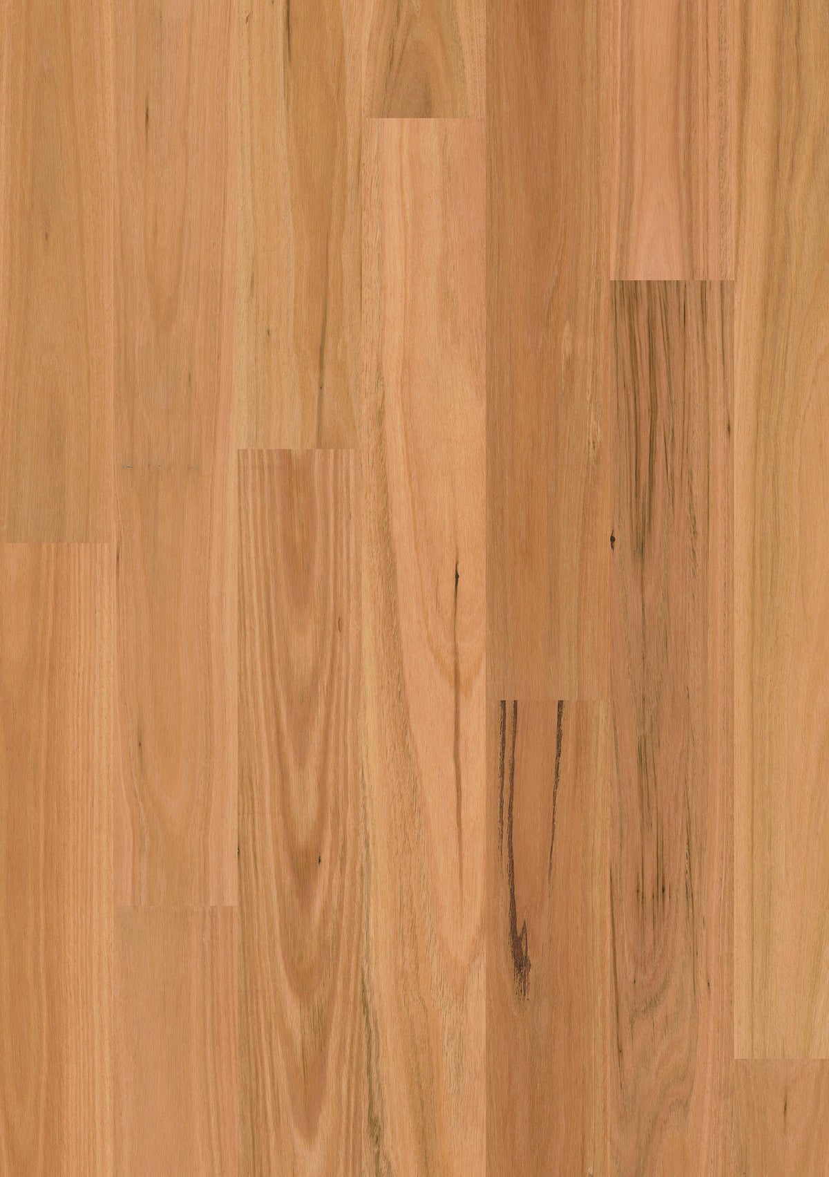 Blackbutt Matt 1 Strip | Sidura Australian Timber Flooring Belrose Sydney