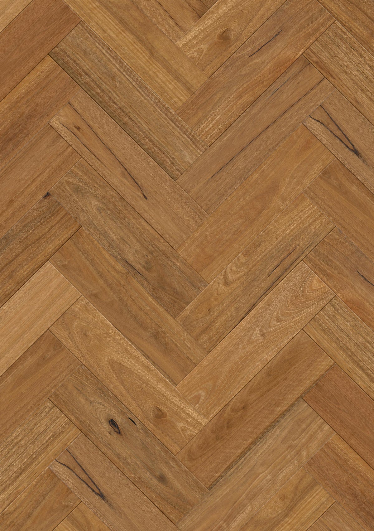 Spotted Gum Matt Herringbone Grande | Sidura Australian Timber Flooring Belrose Sydney