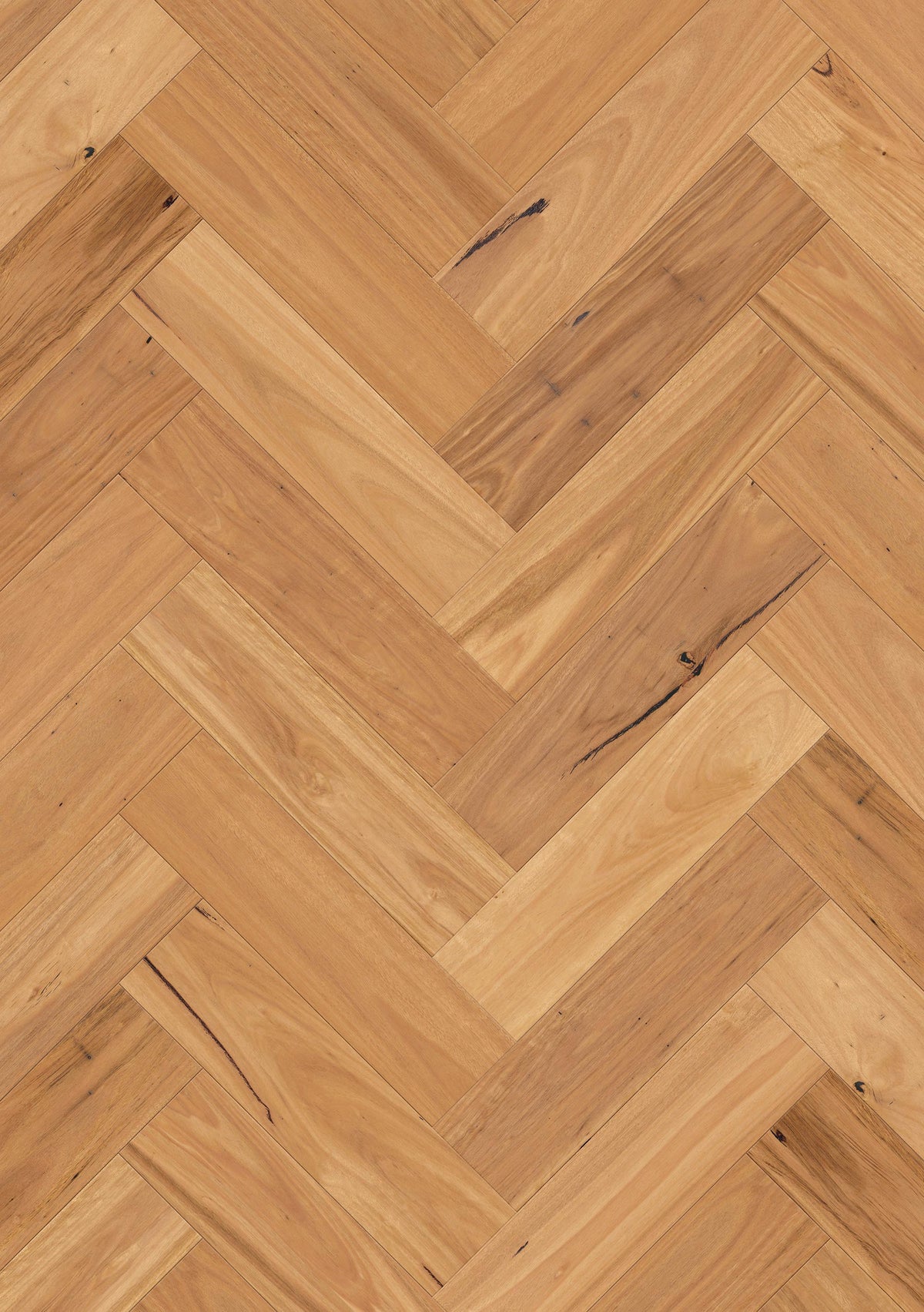 Blackbutt Matt Herringbone Grande | Sidura Australian Timber Flooring Belrose Sydney
