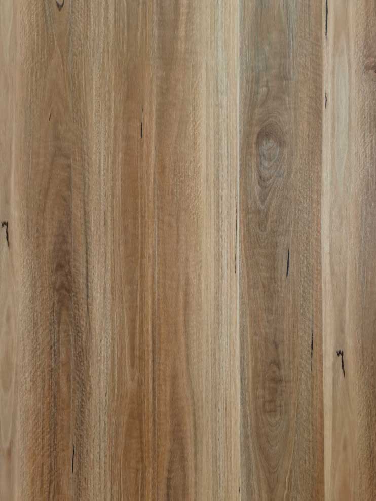 Guardian Hybrid - Spotted Gum