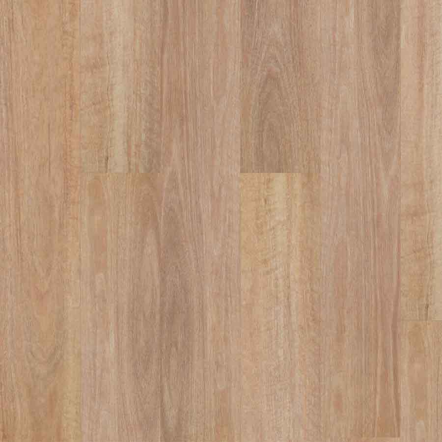 Titan Hybrid - Home - Pale Spotted Gum