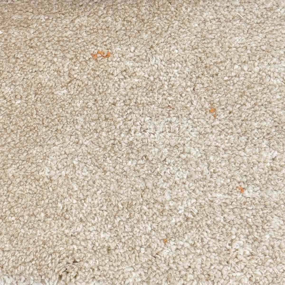 Cedric Sandstone beige rug with subtle caramel flecks and soft plush pile. Available at Rugs N Timber Belrose showroom