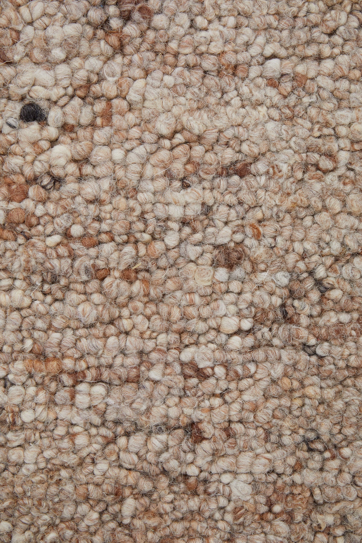 Rueben Old Havana premium hand tufted wool rug inspired by historic Havana, part of the St Kitts Collection at Rugs N Timber Belrose showroom.