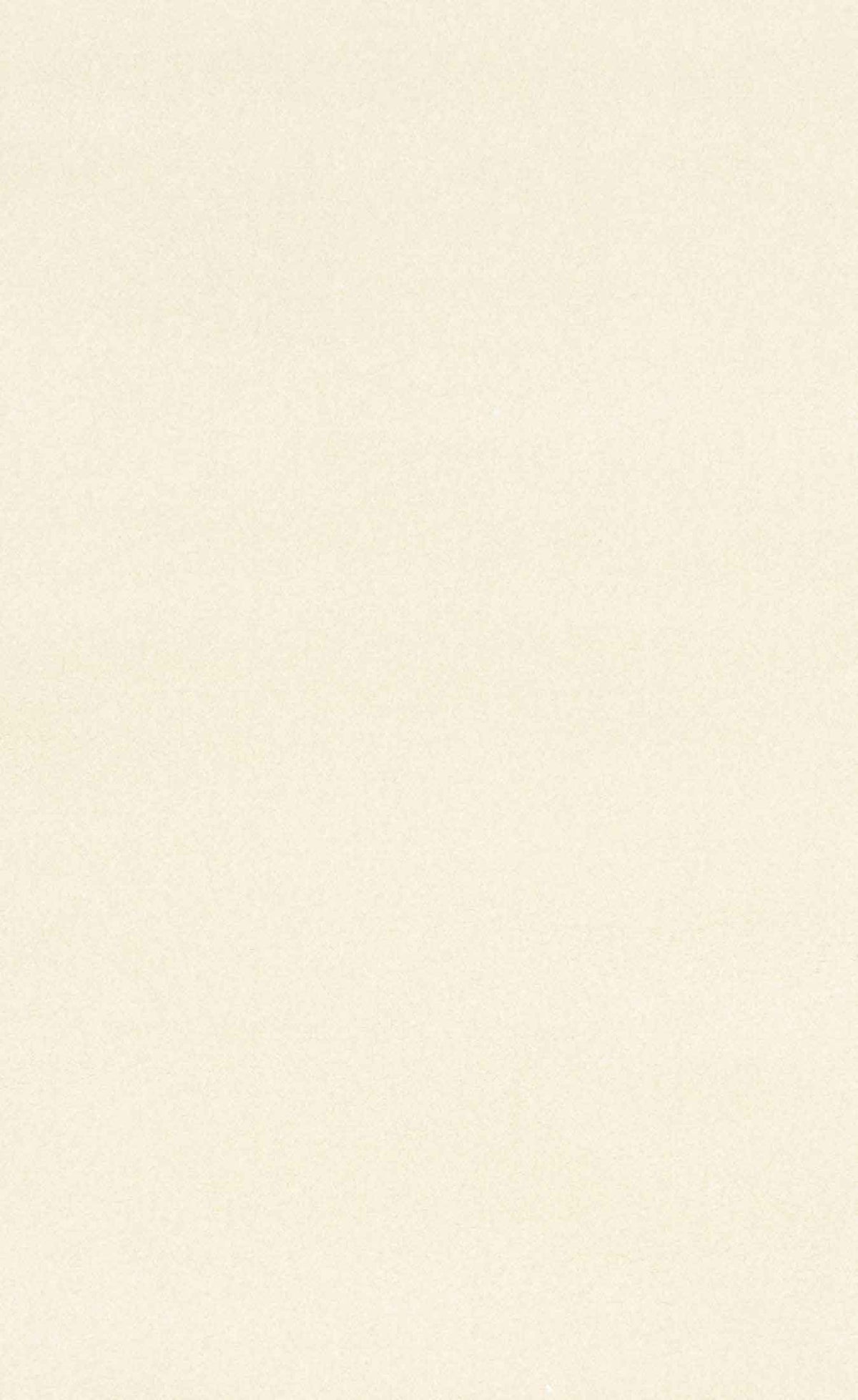 Stanley Ivory Rug | Plain Cream Polypropylene Rug Belrose | Rugs N Timber