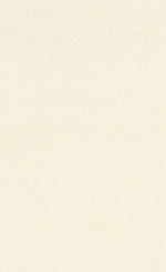 Stanley Ivory Rug | Plain Cream Polypropylene Rug Belrose | Rugs N Timber