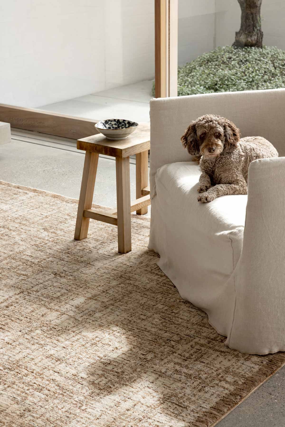 Meadow Malt neutral polyester runner from the Steph and Gian collection. Available at Rugs N Timber Belrose