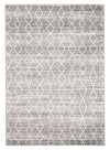 Remy Silver Transitional Rug