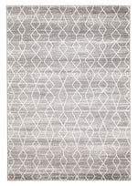 Remy Silver Transitional Rug