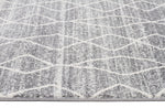 Remy Silver Transitional Rug