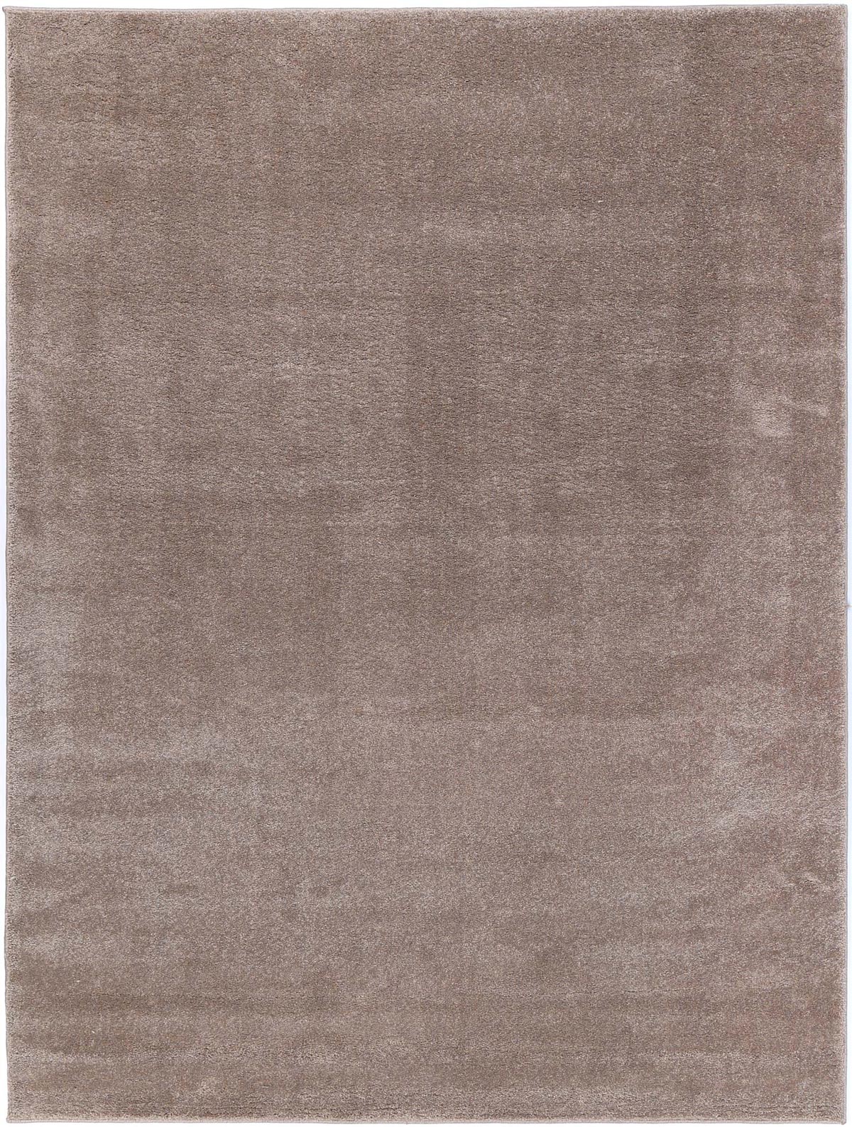 Montana Latte Rug | Plain Rugs Belrose | Rugs N Timber