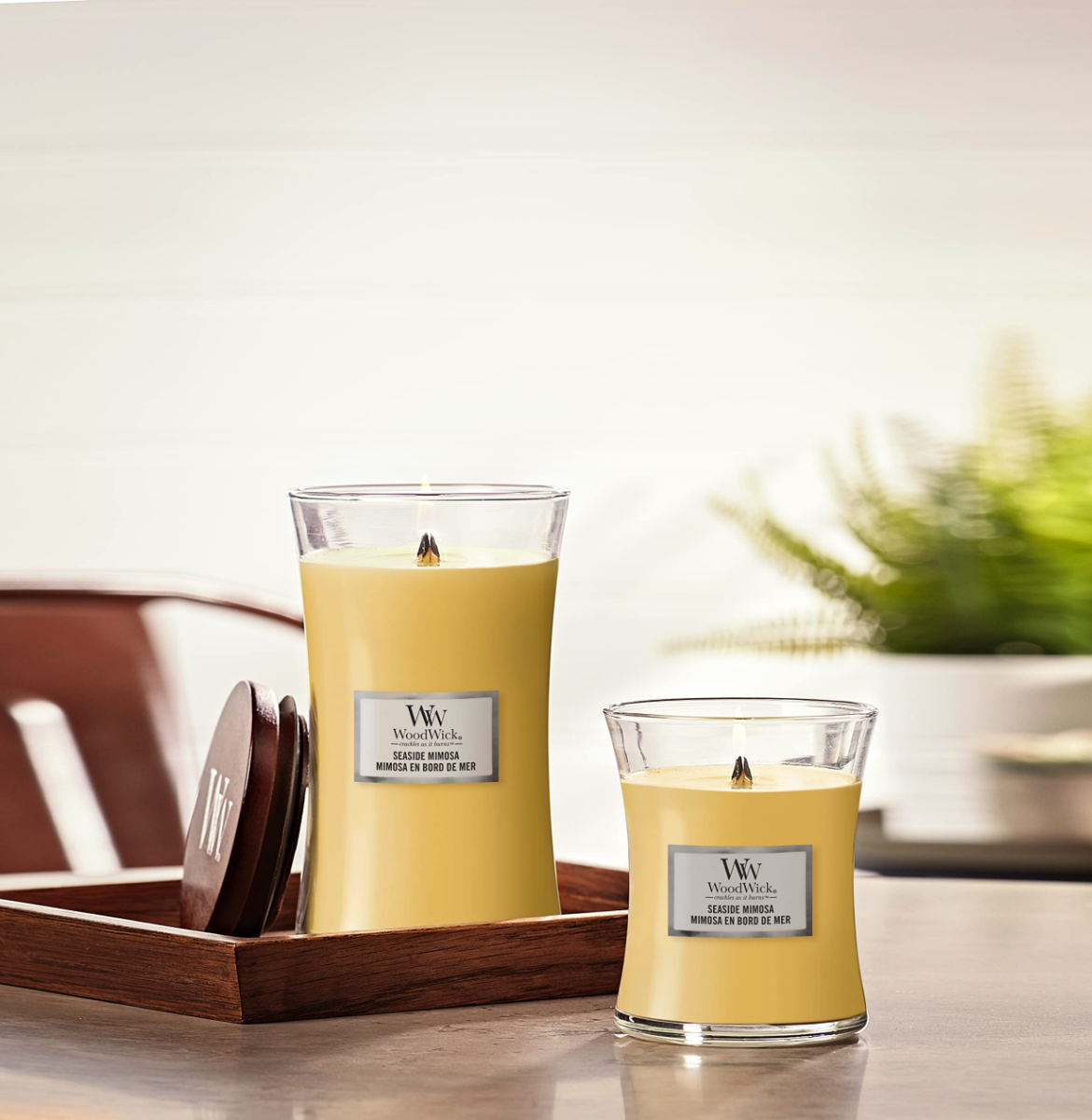 Woodwick Candle - Medium - Seaside Mimosa