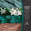 Woodwick Candle - Medium - Juniper & Spruce