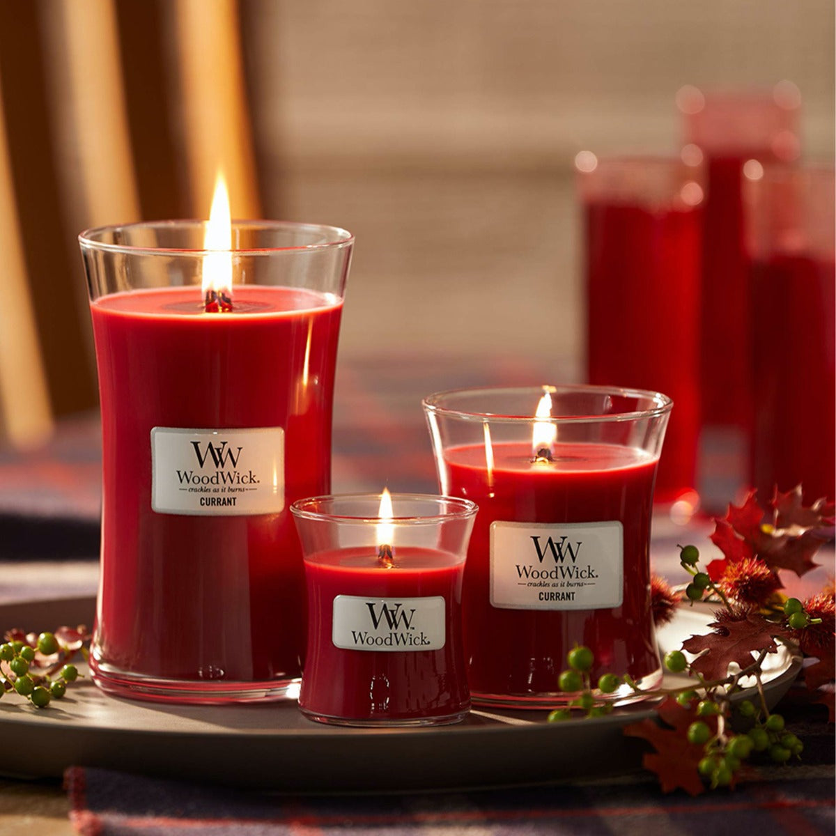 Currant - Medium | Woodwick Candles