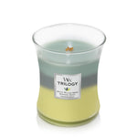 Woodwick Candle - Medium - Woodland Shade